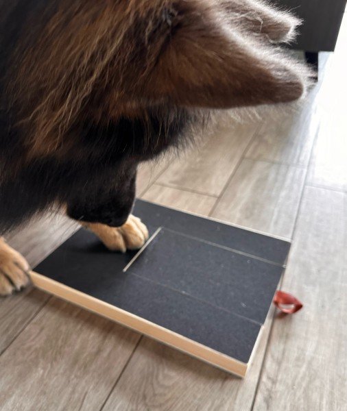 Diy dog nail file mat best sale